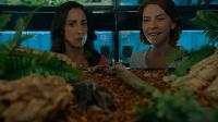 Click to watch 'Ohmygodohmygodohmygod' (popup) Workin Moms